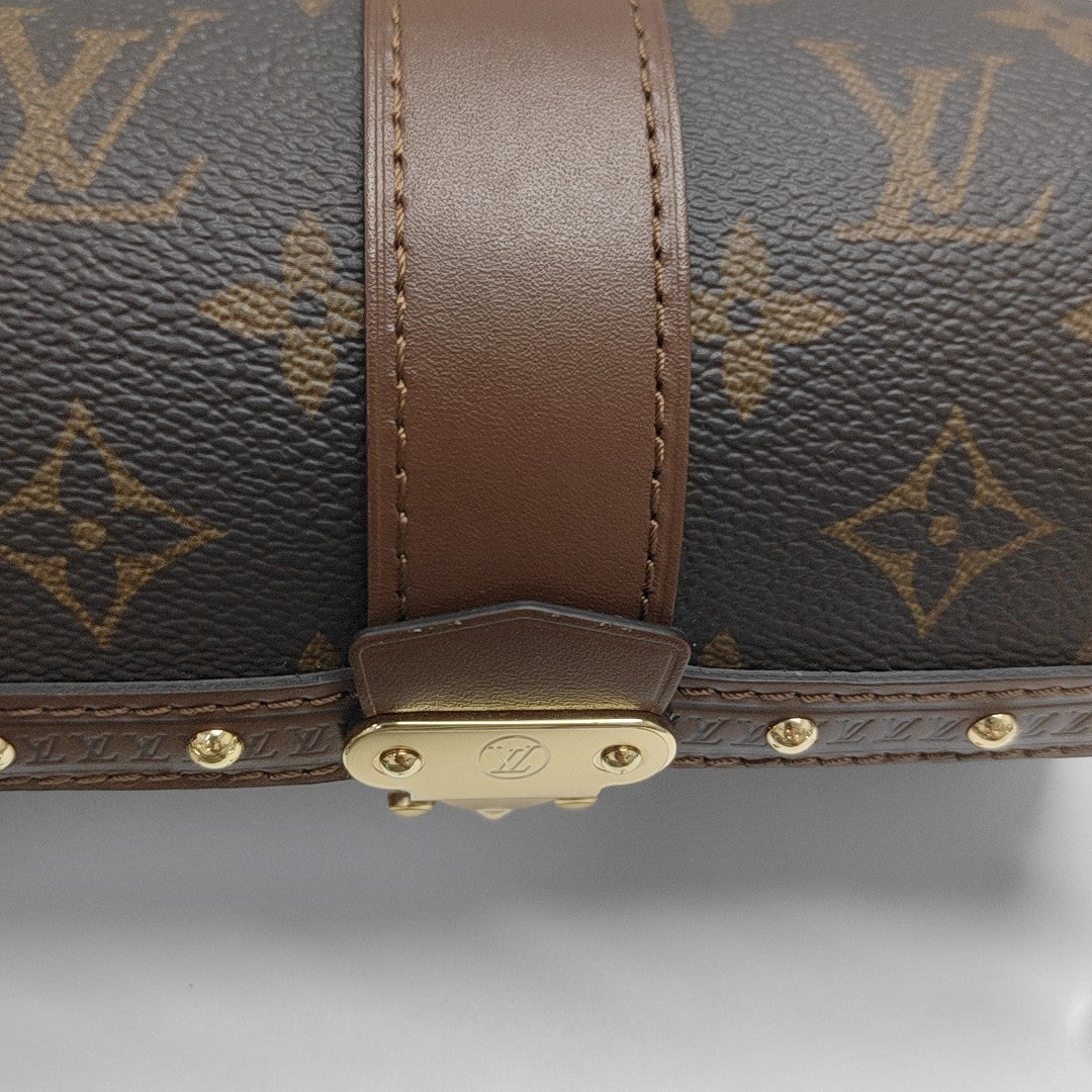 PAPILLON 19 Monogram Coated Canvas Brown