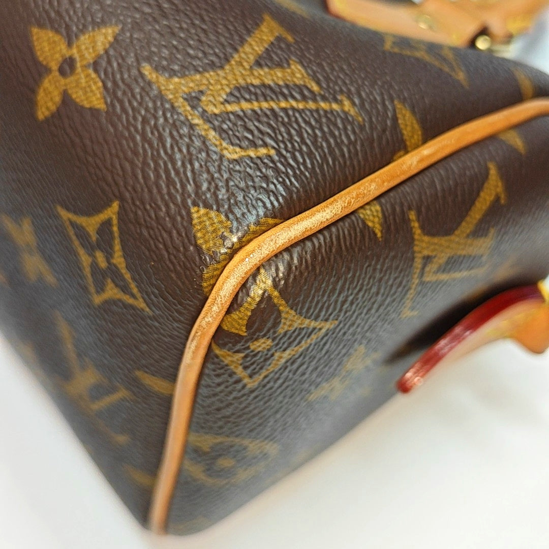 SPEEDY 20 Monogram Coated Canvas Brown