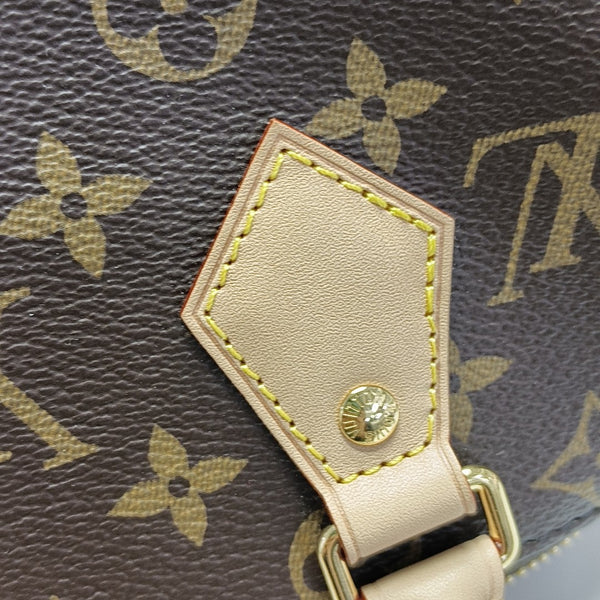 SPEEDY 20 Monogram Coated Canvas Brown