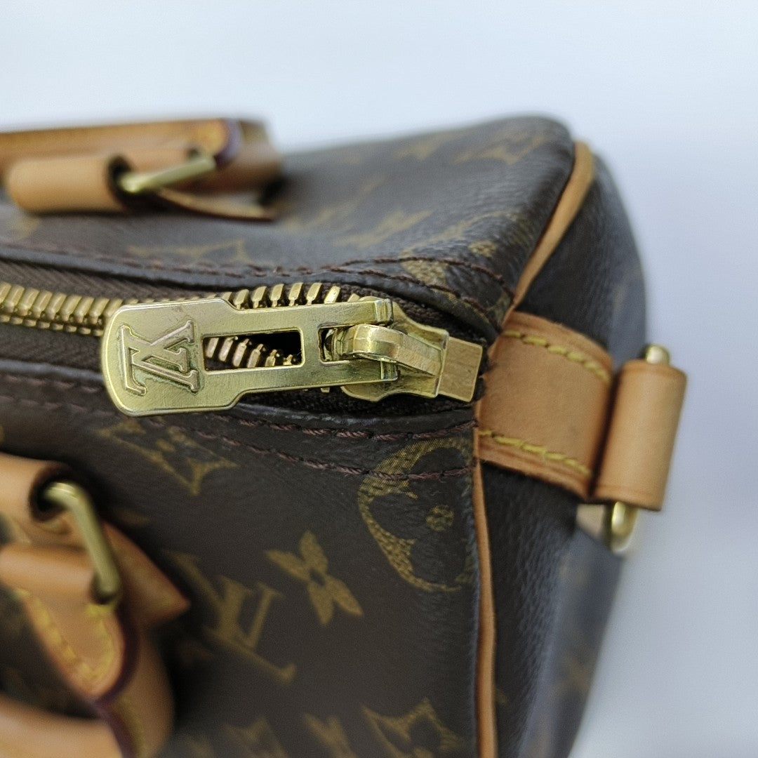 SPEEDY 25 Monogram Coated Canvas Brown