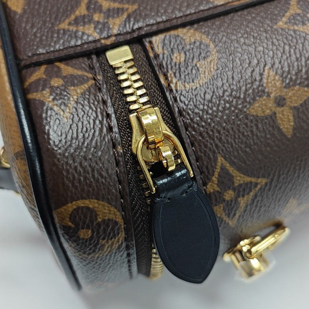 VANITY PM Monogram Coated Canvas Brown