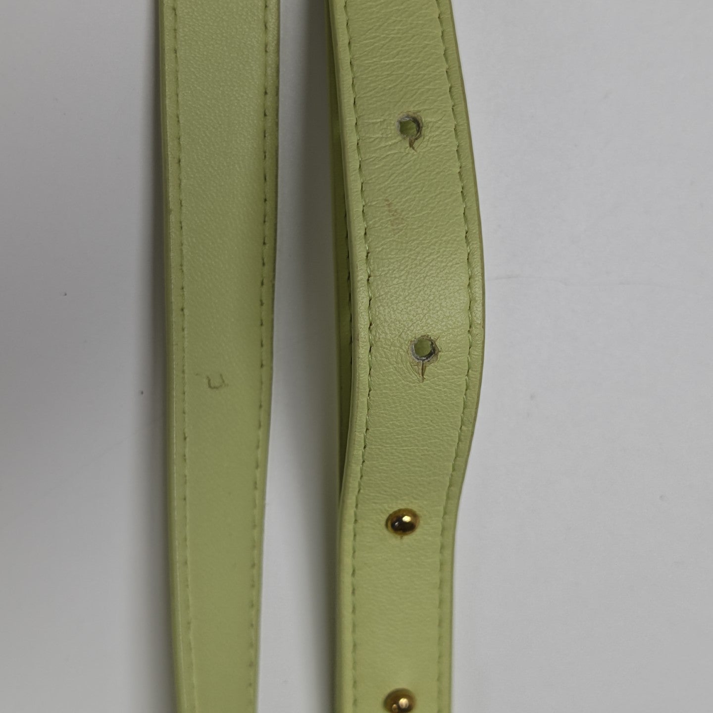 Cassette Mini Calfskin Green
