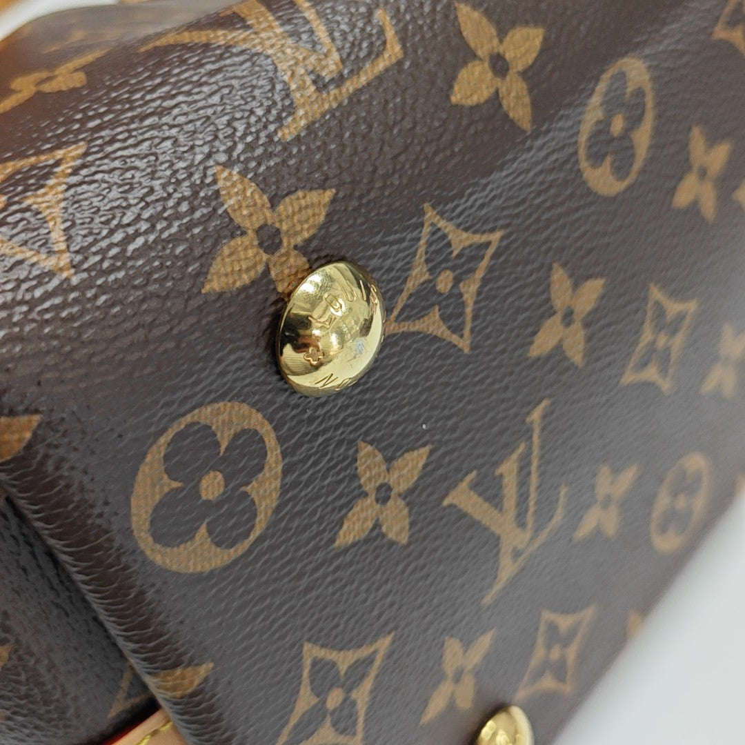 CARRYALL PM Monogram Coated Canvas Brown