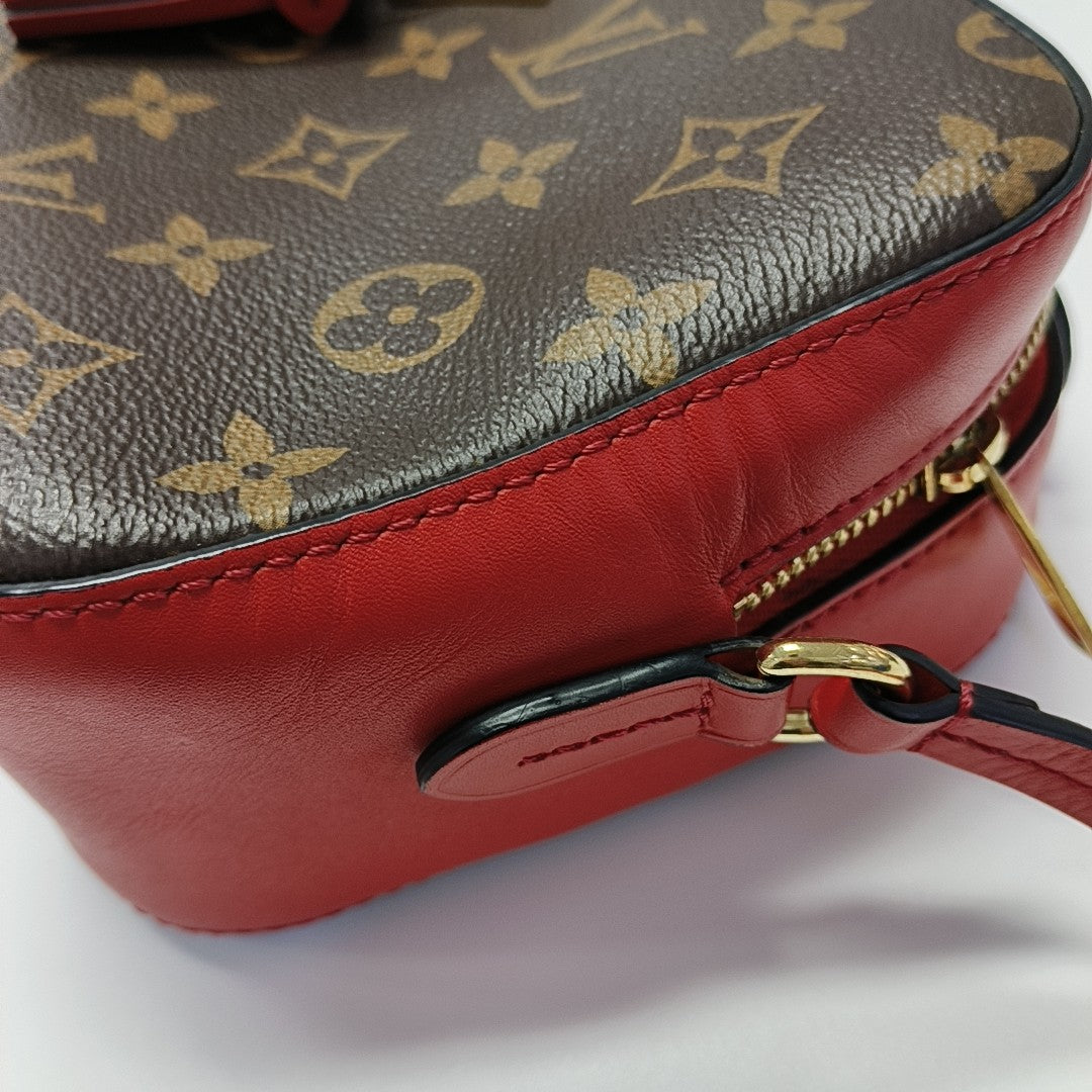 SAINTONGE Monogram Coated Canvas Brown