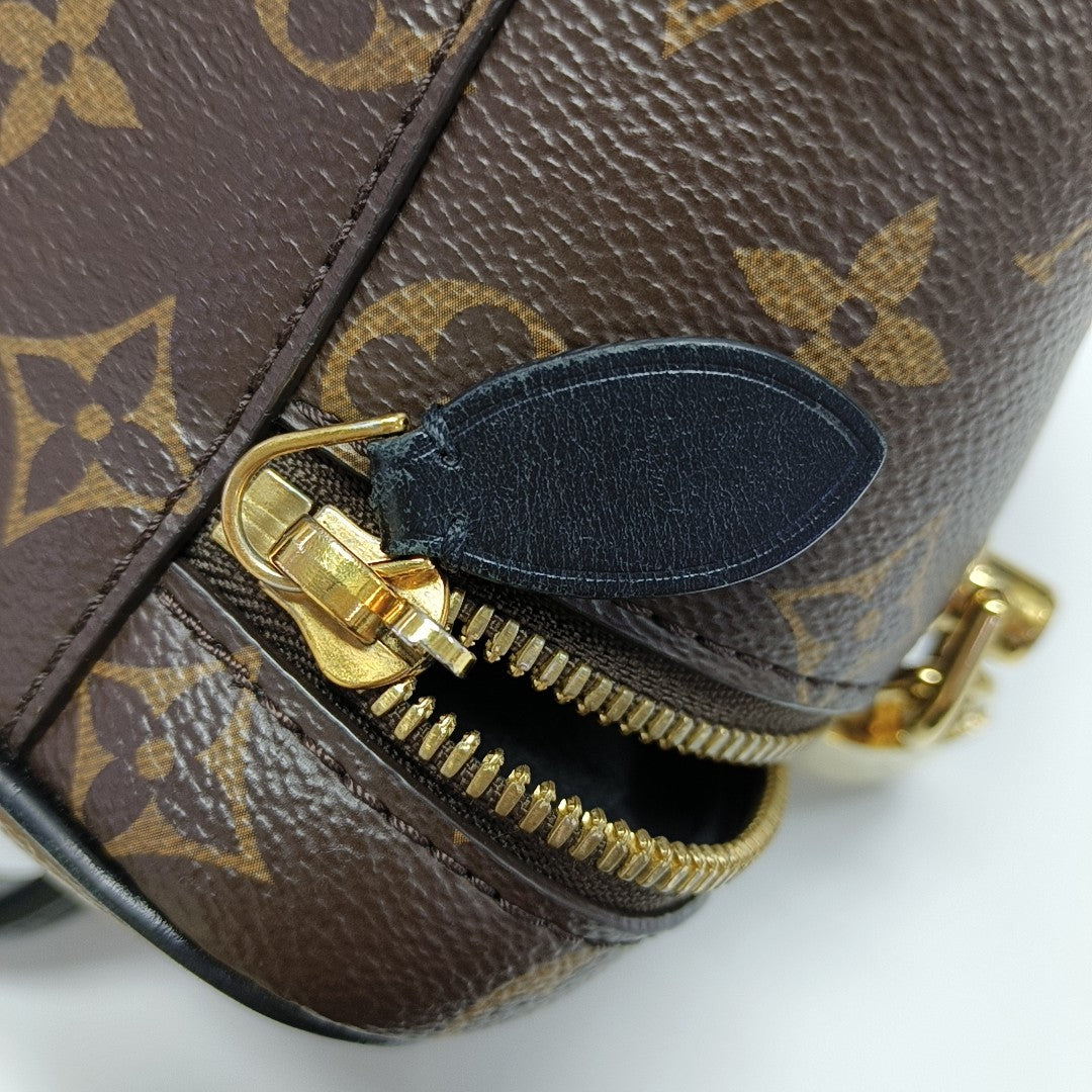 VANITY PM Monogram Coated Canvas Brown