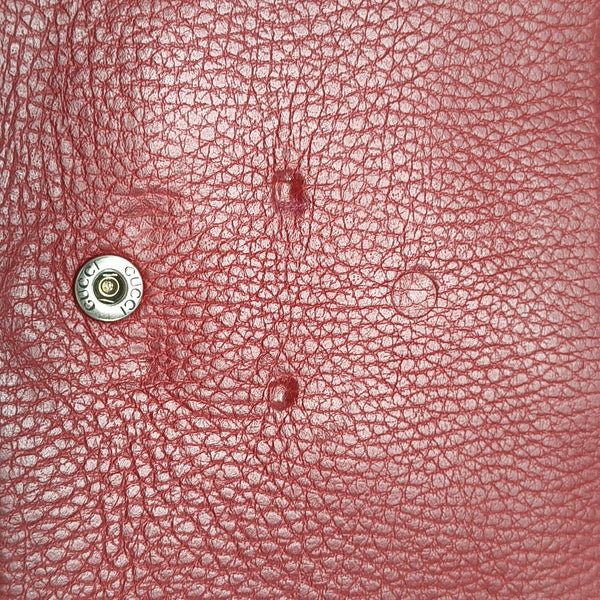 Dionysus Mini Calfskin Red