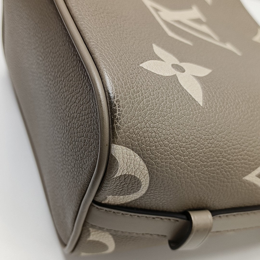 ALL IN BB Monogram Calfskin Gray