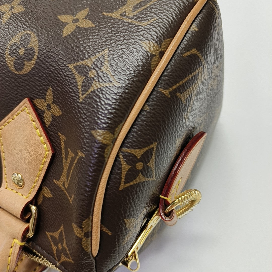 SPEEDY 20 Monogram Coated Canvas Brown