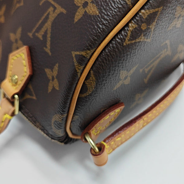SPEEDY Nano Monogram Coated Canvas Brown
