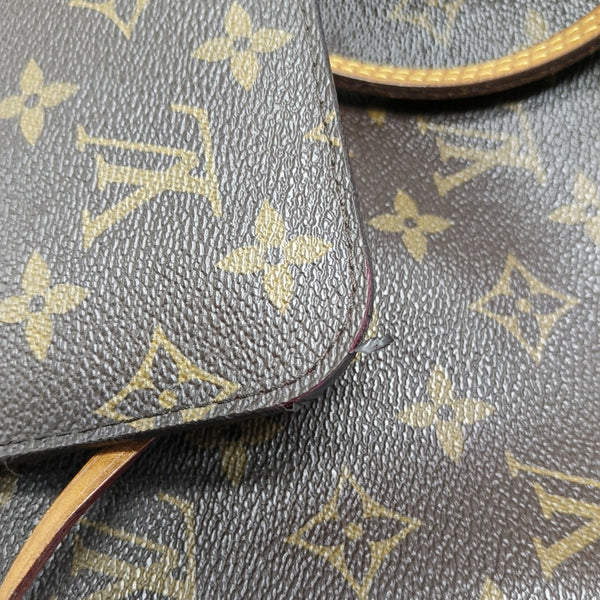 NEVERFULL MM Monogram Coated Canvas Brown