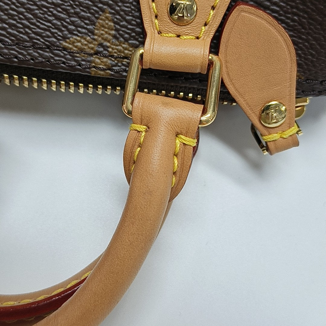 SPEEDY Nano Monogram Coated Canvas Brown