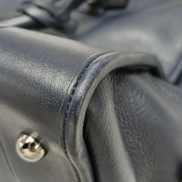Amazona Calfskin Blue
