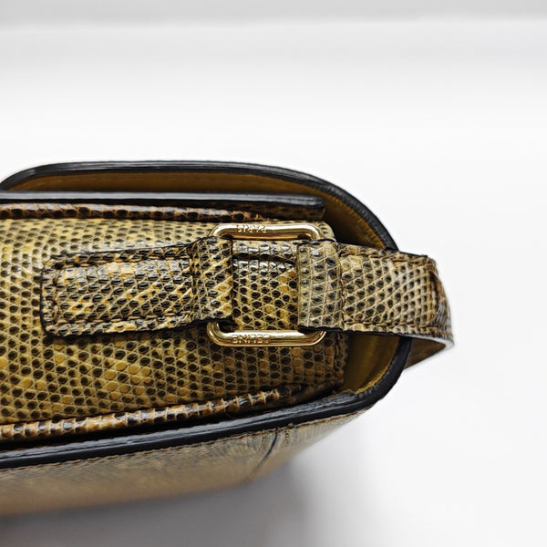TRIOMPHE Small Lizard Brown