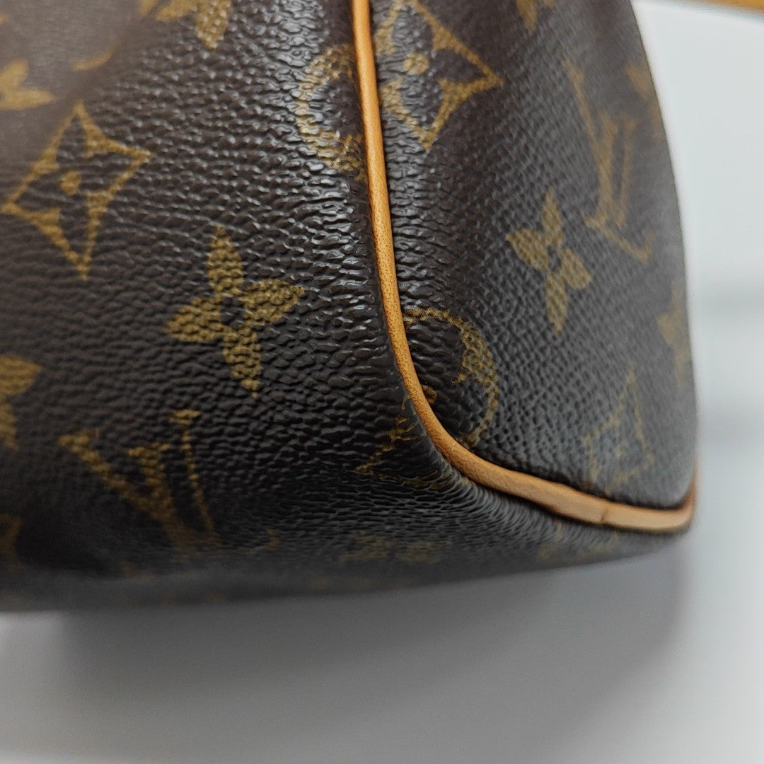 SPEEDY Nano Monogram Coated Canvas Brown