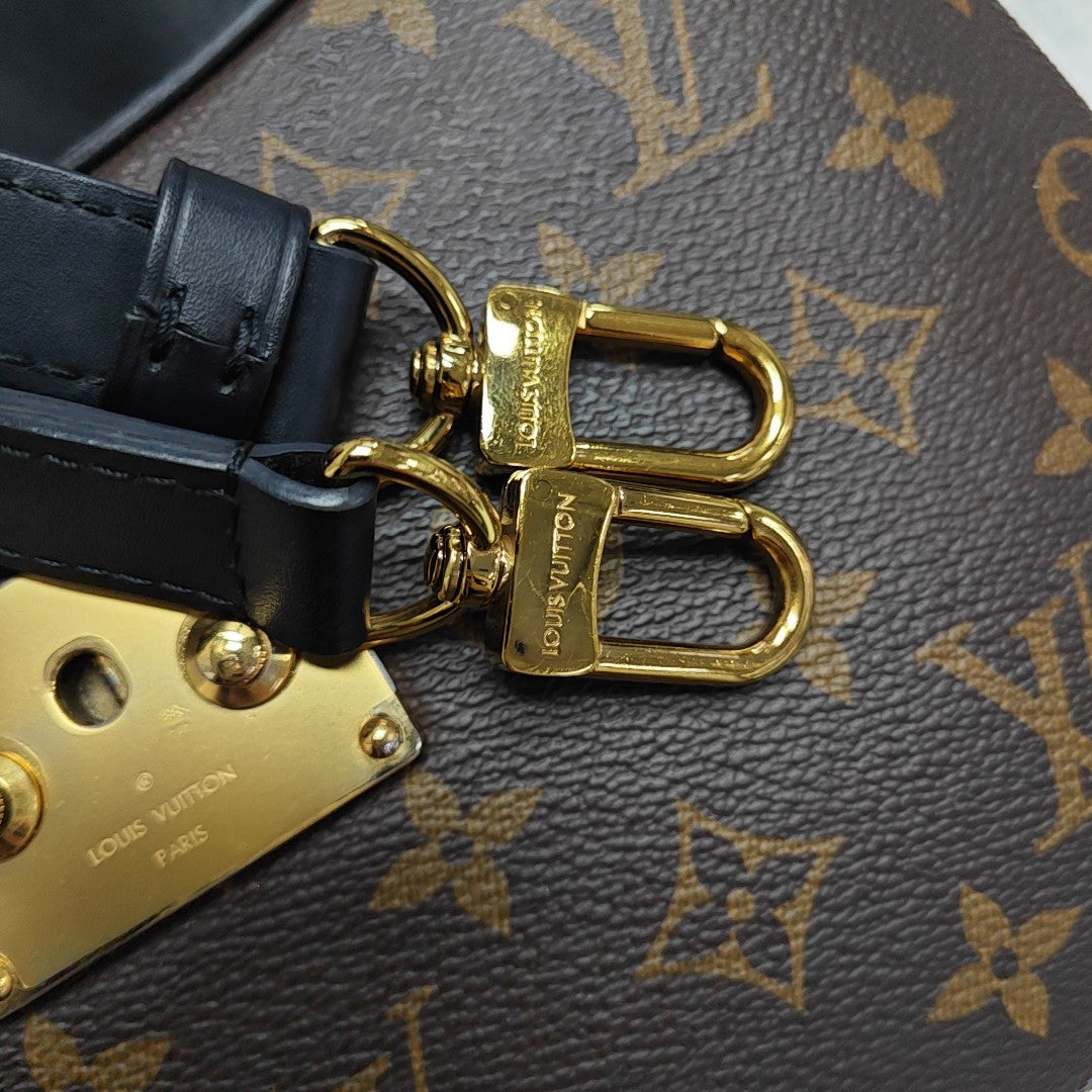 TWINNY Monogram Coated Canvas Brown
