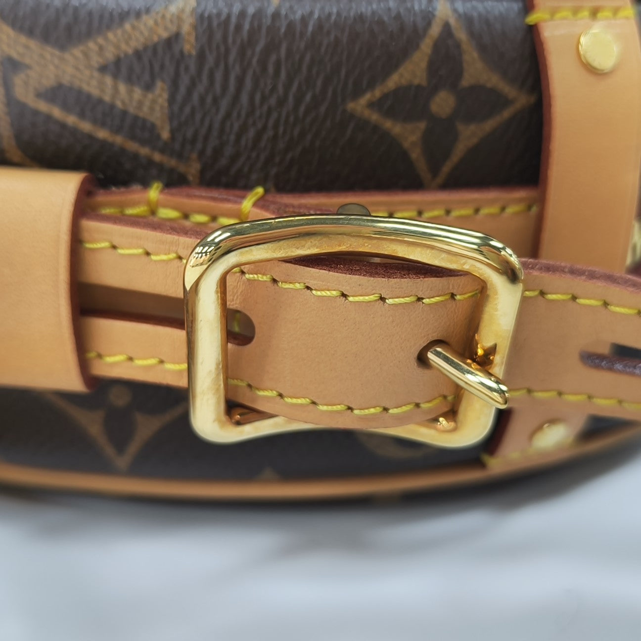 BOITE CHAPEAU MM Monogram Coated Canvas Brown
