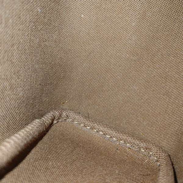 SPEEDY Nano Monogram Coated Canvas Brown