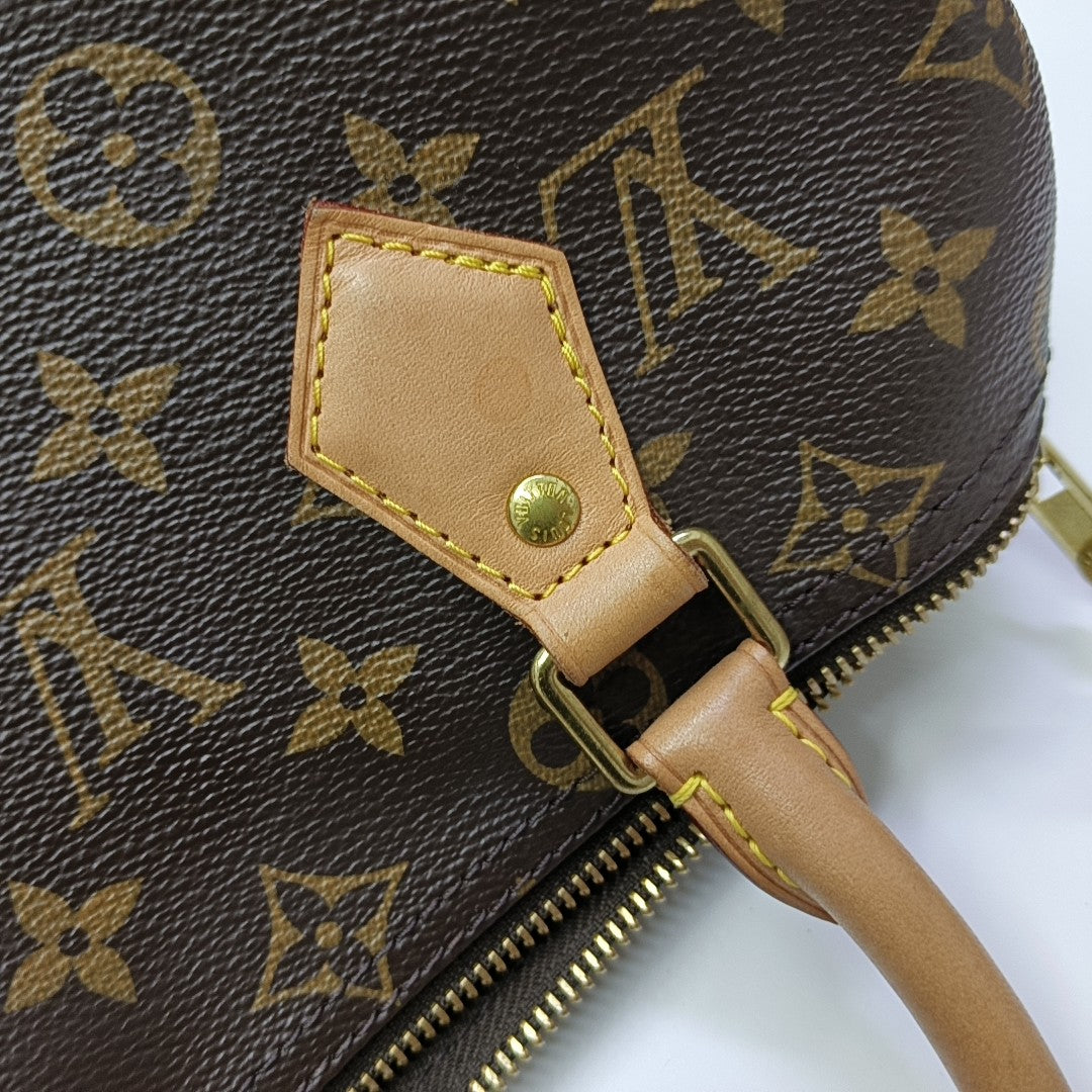 SPEEDY 25 Monogram Coated Canvas Brown