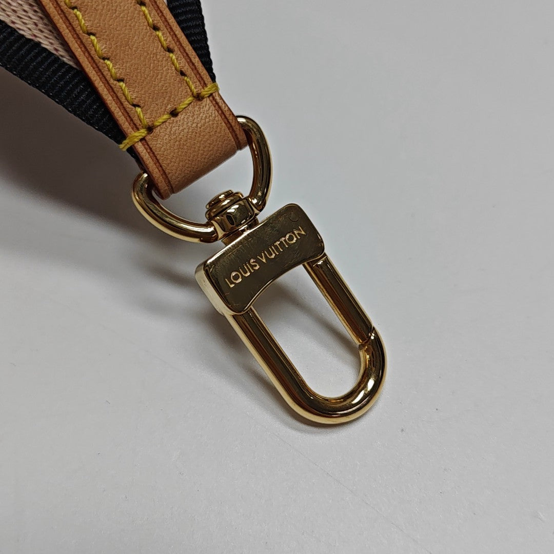 SPEEDY 20 Monogram Coated Canvas Brown