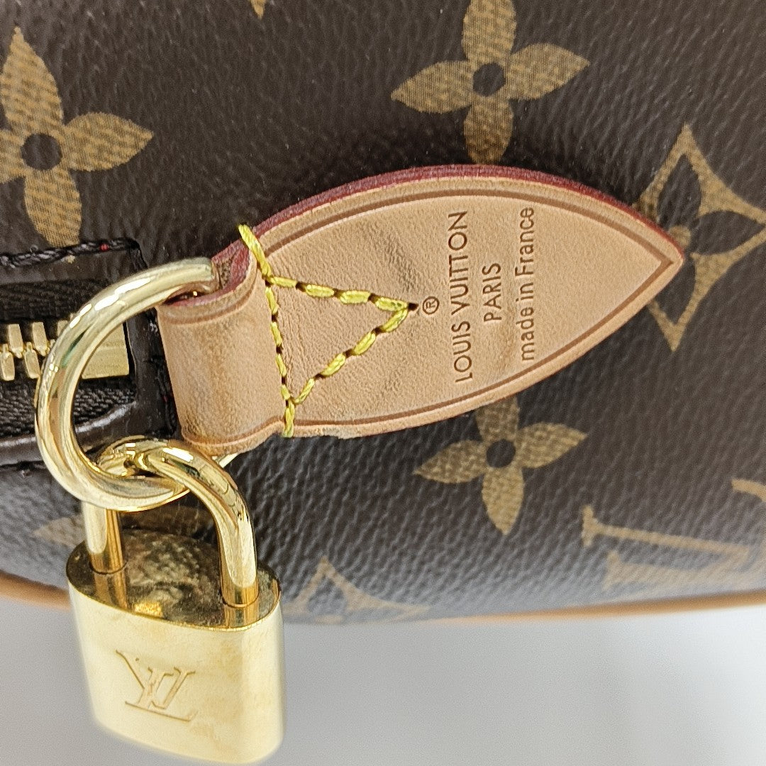 SPEEDY 20 Monogram Coated Canvas Brown
