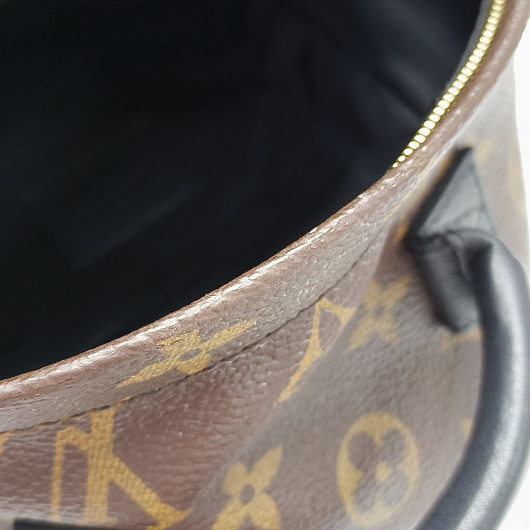 PALM SPRINGS Mini Monogram Coated Canvas Brown