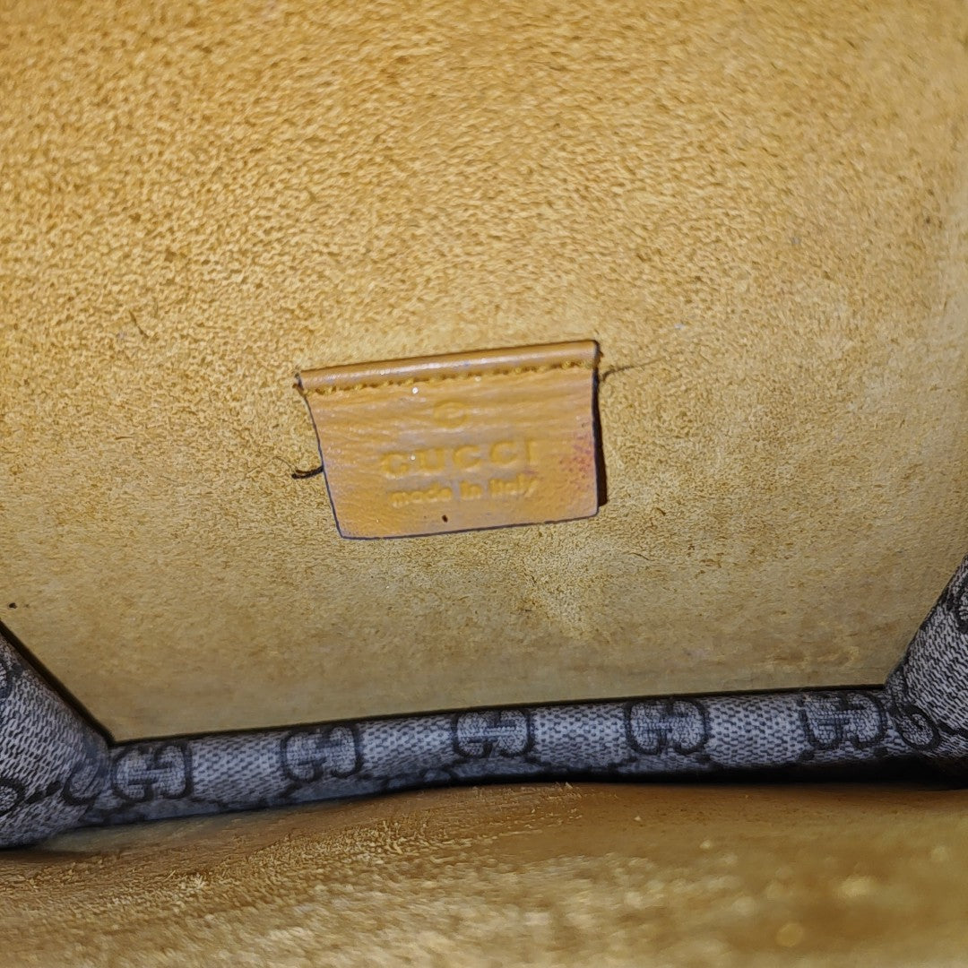 Dionysus Mini Monogram Coated Canvas Beige