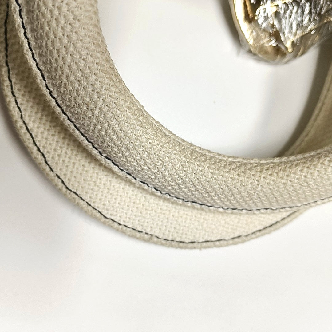 Lady Dior Medium Canvas White