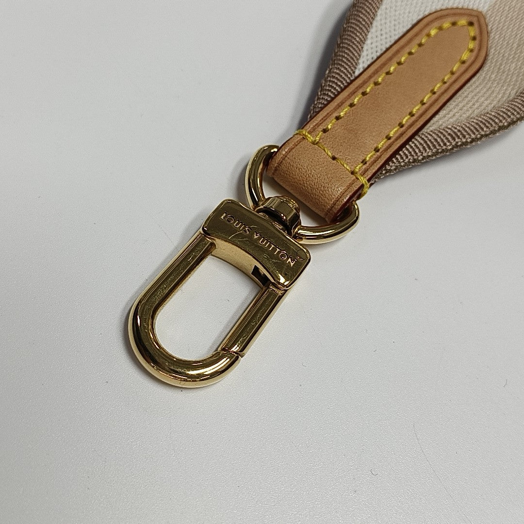 SPEEDY 20 Monogram Coated Canvas Brown