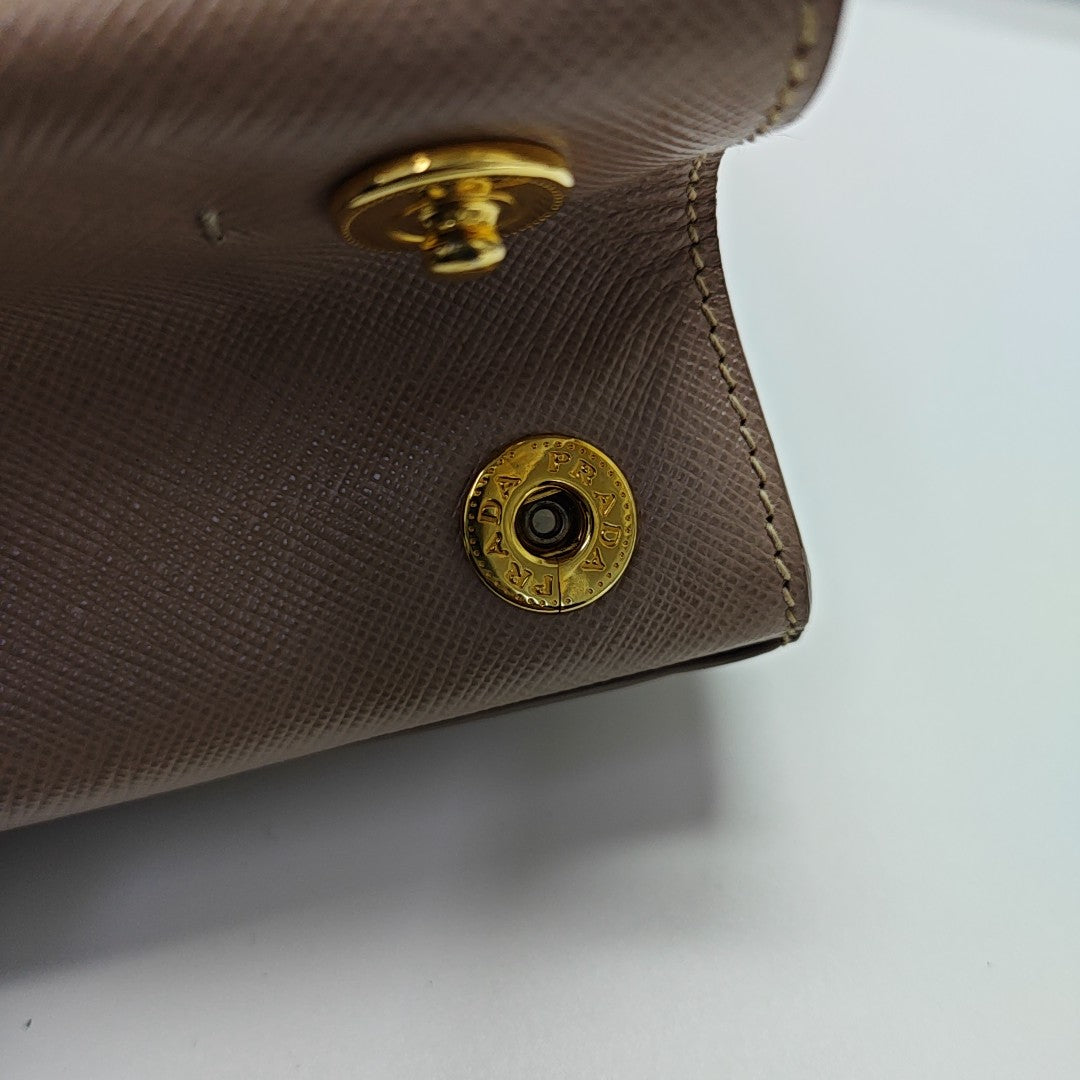 Parabole Saffiano Calfskin Pink