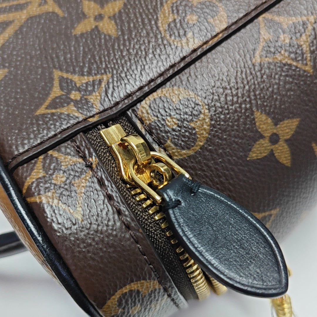 VANITY PM Monogram Coated Canvas Brown