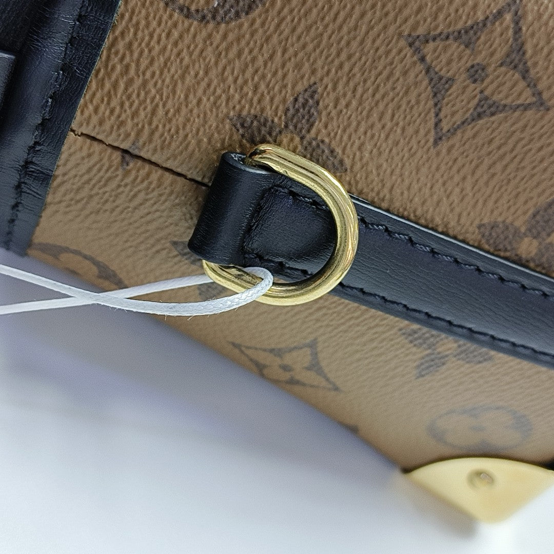 NOÉ PURSE LV CHARMS Monogram Coated Canvas Brown