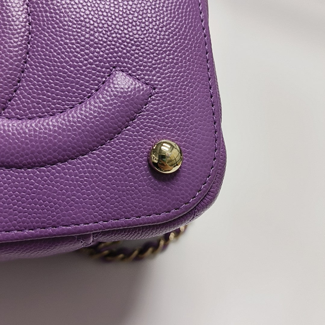 VANITY CASE Quilted Grained Calfskin Purple