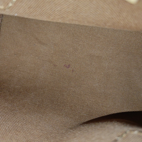SPEEDY Nano Monogram Coated Canvas Brown