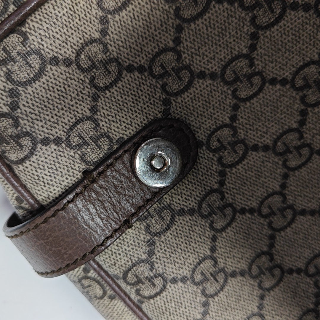 Monogram Coated Canvas Crossbody Bag Brown