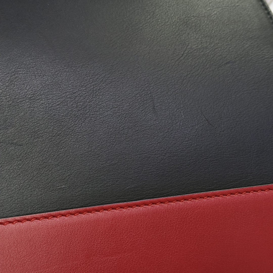 Dionysus Large Calfskin Multicolor