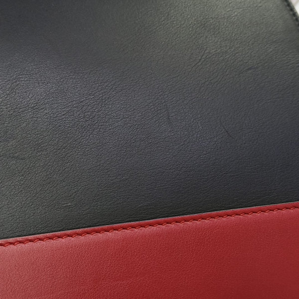 Dionysus Large Calfskin Multicolor