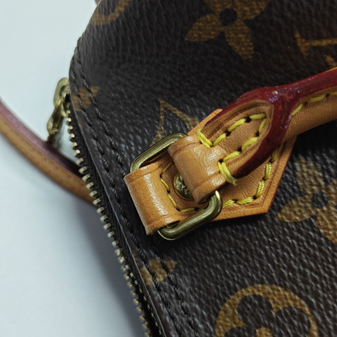 SPEEDY Nano Monogram Coated Canvas Brown