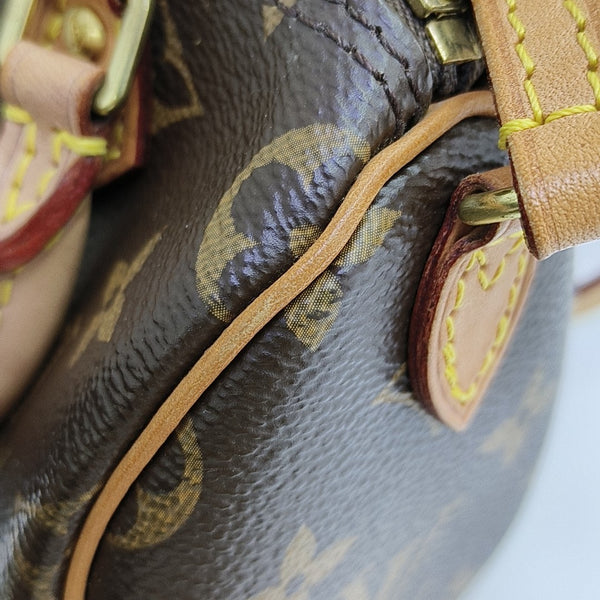 SPEEDY Nano Monogram Coated Canvas Brown