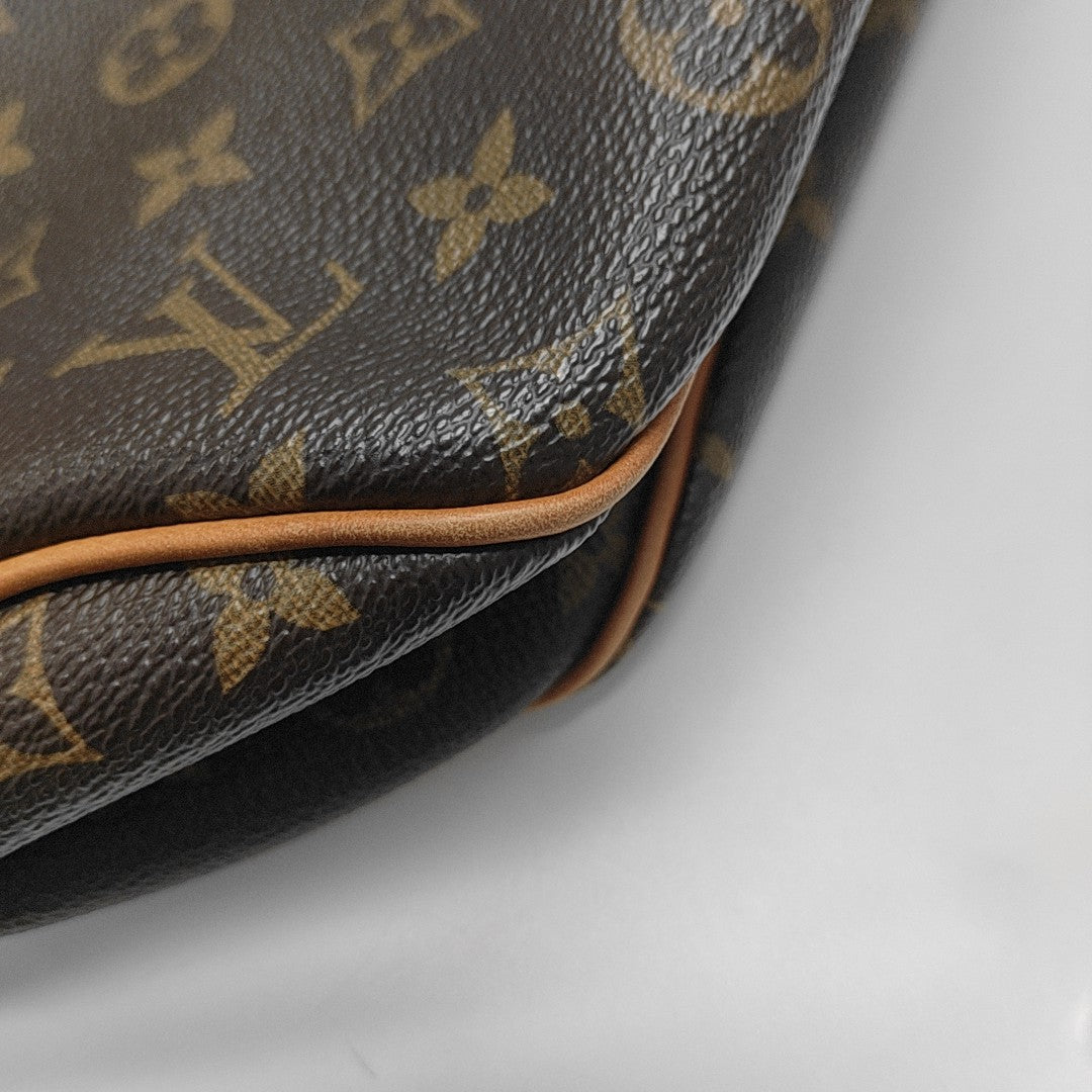 DELIGHTFUL Monogram Coated Canvas Brown