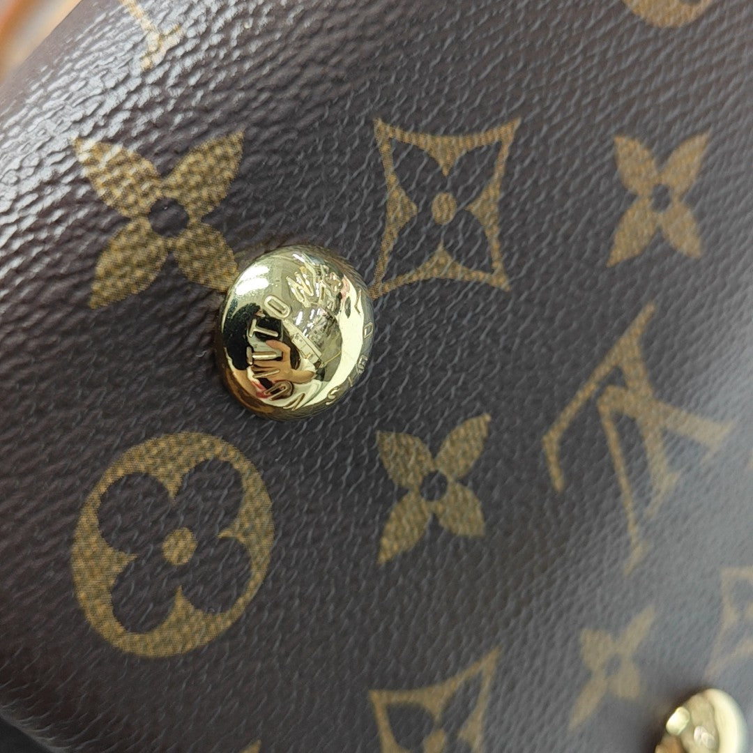 CARRYALL PM Monogram Coated Canvas Brown