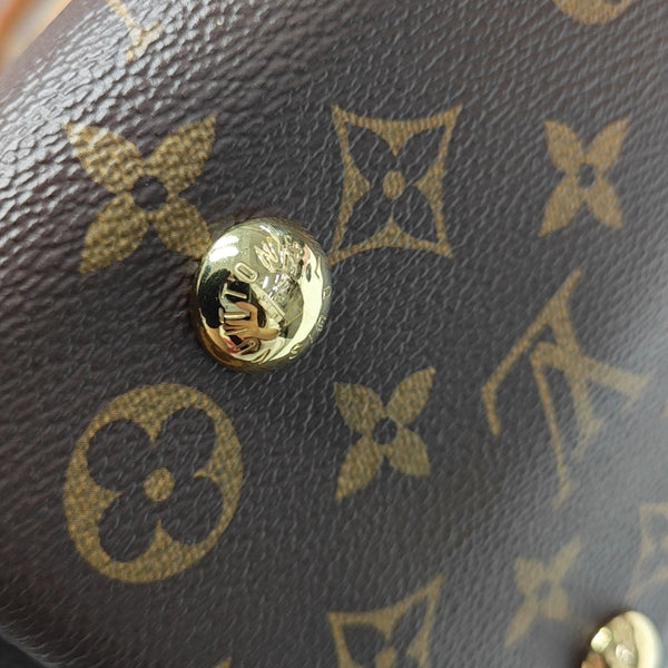 CARRYALL PM Monogram Coated Canvas Brown