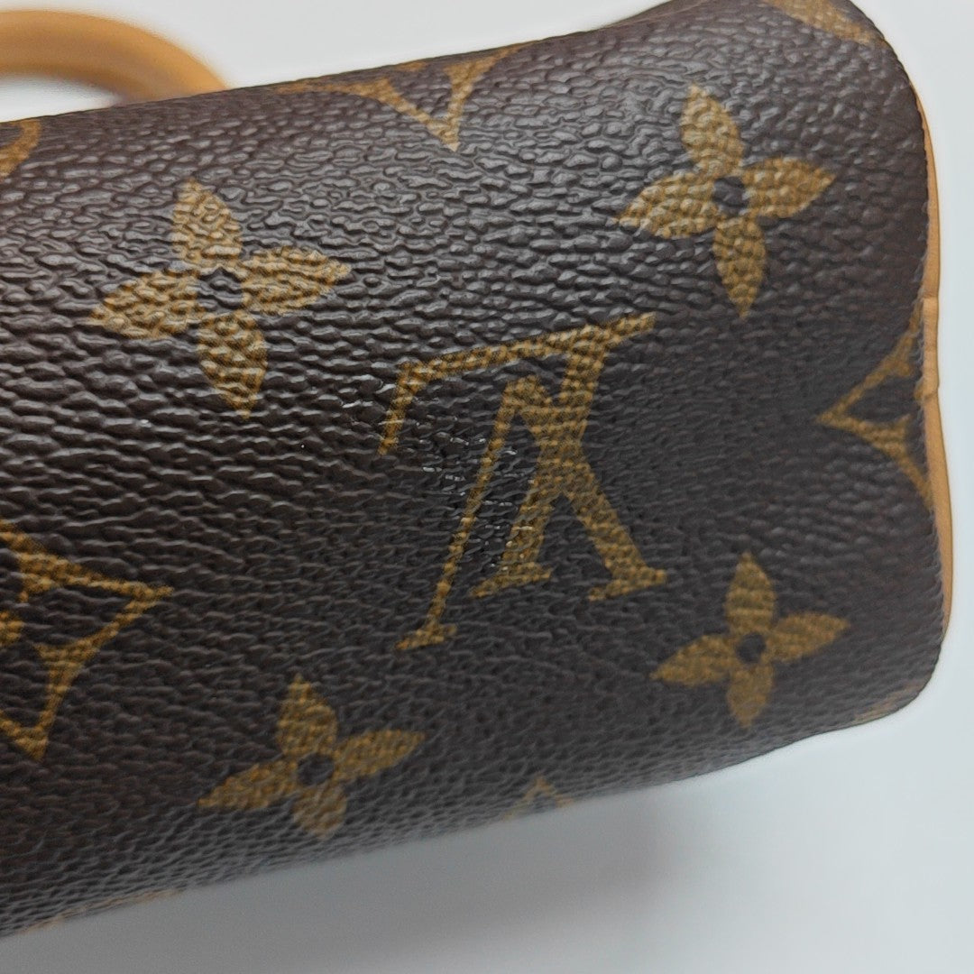 SPEEDY Nano Monogram Coated Canvas Brown