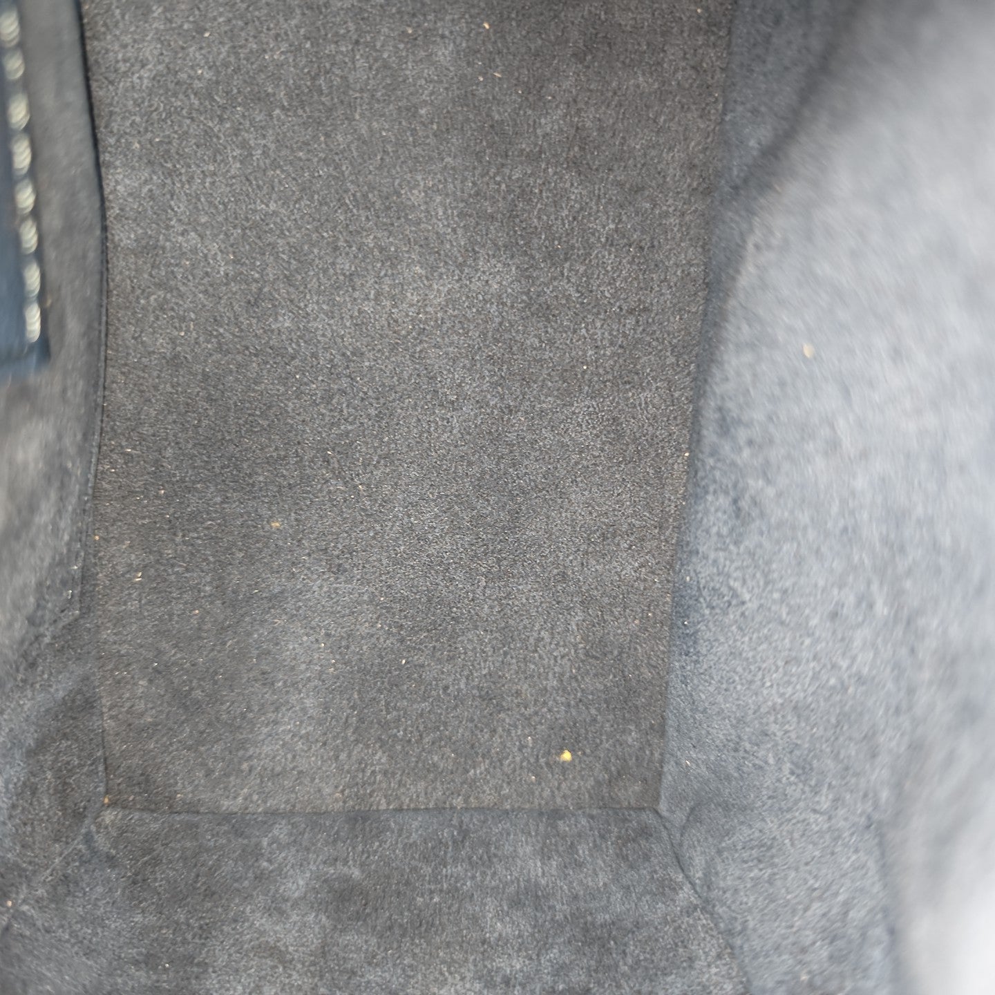SPEEDY 20 Monogram Calfskin Blue