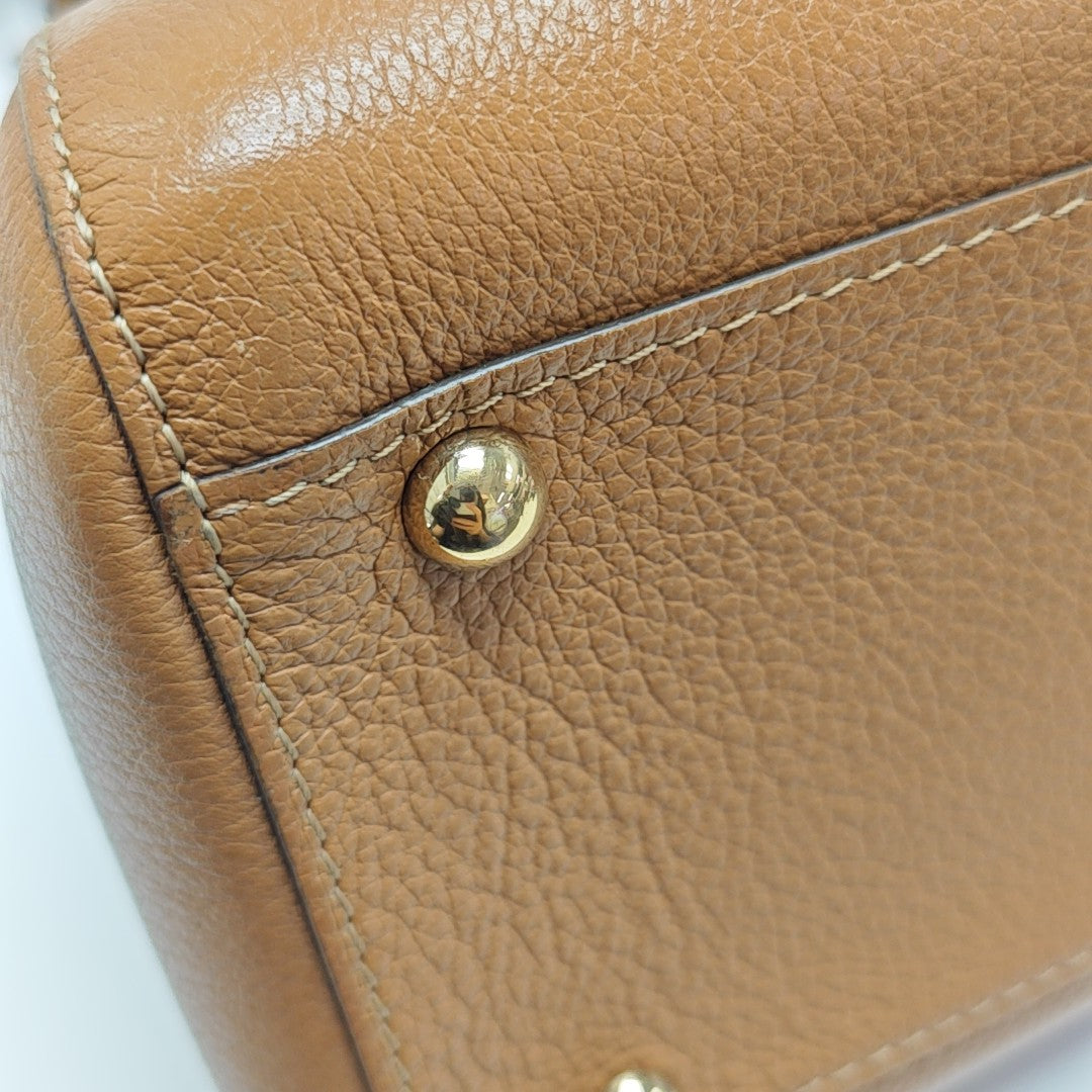 Brillant Mini Calfskin Brown