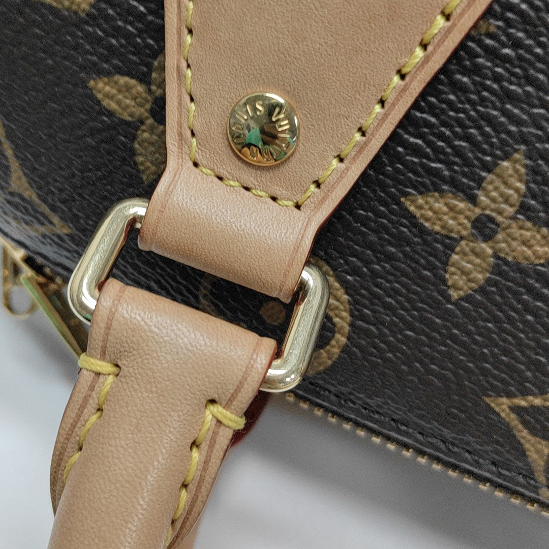 SPEEDY 20 Monogram Coated Canvas Brown