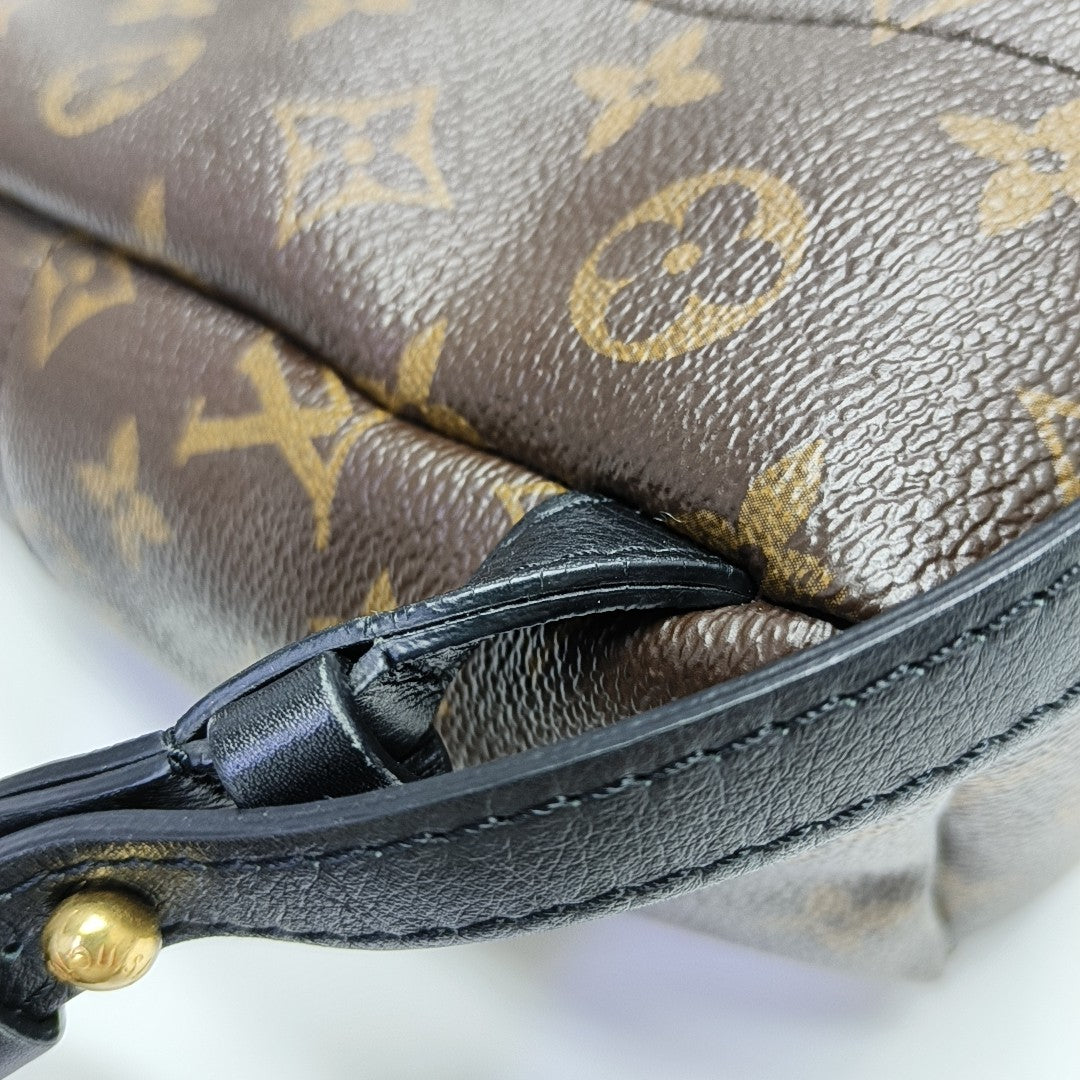 PALM SPRINGS PM Monogram Coated Canvas Brown