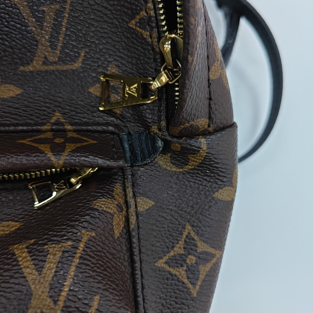 PALM SPRINGS Mini Monogram Coated Canvas Brown