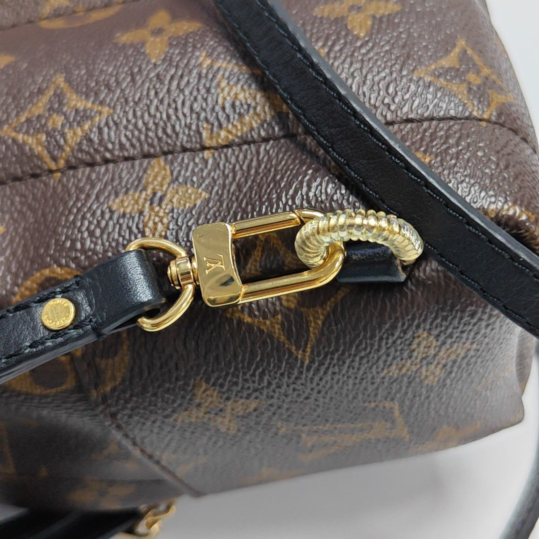 PALM SPRINGS Mini Monogram Coated Canvas Brown