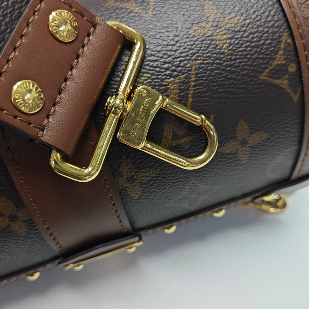 PAPILLON 19 Monogram Coated Canvas Brown