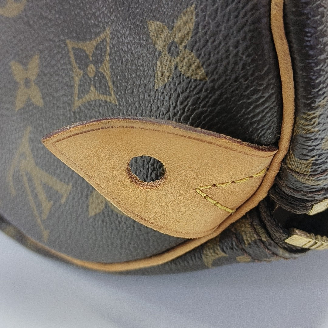 SPEEDY 25 Monogram Coated Canvas Brown